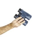 H2O 8x42mm Blk Roof BAK-4, WP/FP, Twist Up Eyecups - Image 2