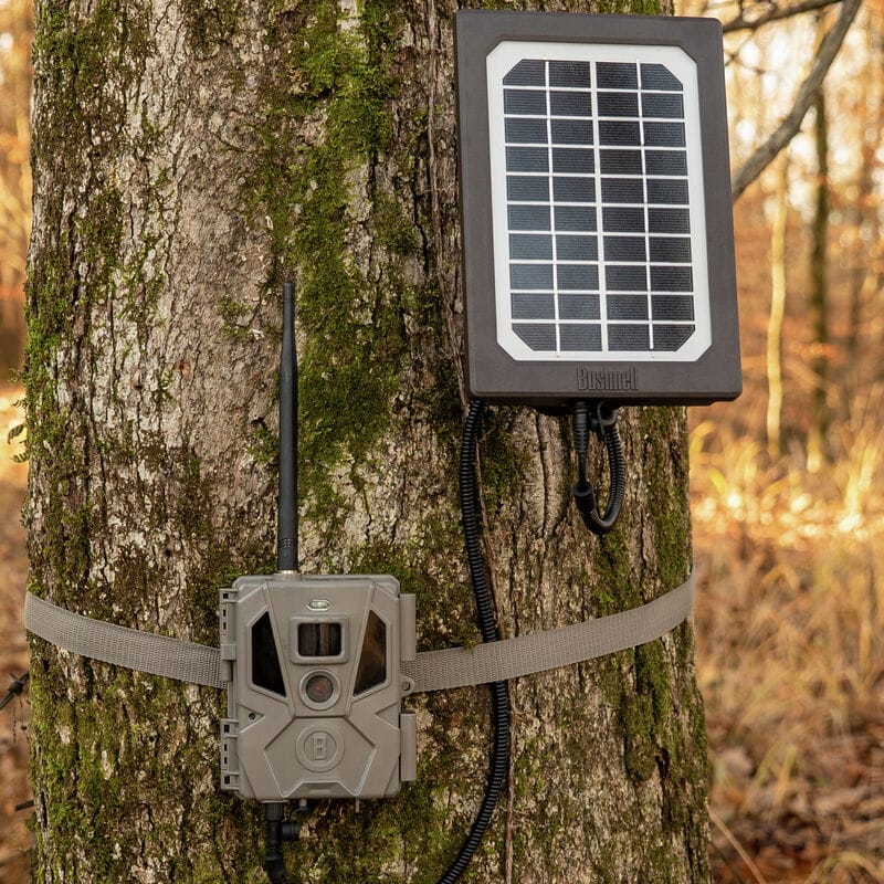 119986C Solar Panel In Use 4
