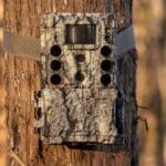 119987C/M 32MP CORE DS4K TREEBARK CAMO NO GLOW - Image 3