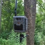 ICU Tree Screw - Image 5